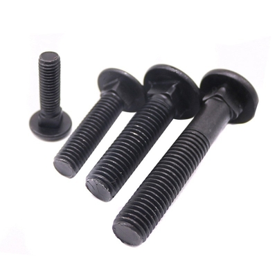 Plain Finish SS304 SS316 gegalvaniseerde koets Bolt Nut M4 M5 M6 M8 M10 met A2-70/A4-80/304/316 kwaliteit en hoge kwaliteit staal
