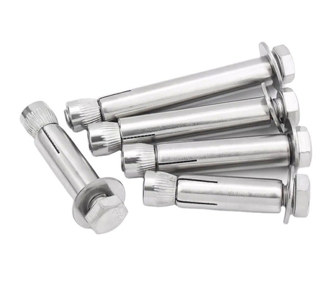 ISO-standaard hoge sterkte M8 M20 M36 roestvrij staal SS304 SS316 wedge anchor met monster