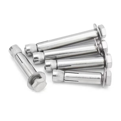 ISO-standaard hoge sterkte M8 M20 M36 roestvrij staal SS304 SS316 wedge anchor met monster