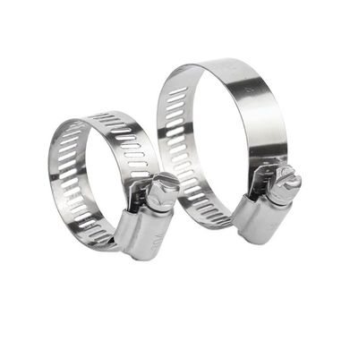 ANSI/ASME Standard Slotted Head Screw Hose Clamps voor Duitse Type Heavy Duty Bolts en ODM Customization van roestvrij staal