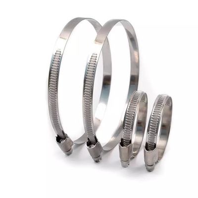 ANSI/ASME Standard Slotted Head Screw Hose Clamps voor Duitse Type Heavy Duty Bolts en ODM Customization van roestvrij staal