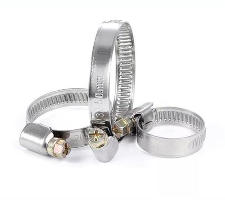 ANSI/ASME Standard Slotted Head Screw Hose Clamps voor Duitse Type Heavy Duty Bolts en ODM Customization van roestvrij staal