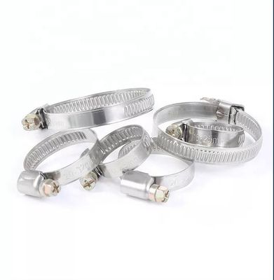 ANSI/ASME Standard Slotted Head Screw Hose Clamps voor Duitse Type Heavy Duty Bolts en ODM Customization van roestvrij staal
