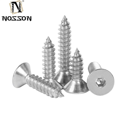 Metrische kaaskop van roestvrij staal DIN7982 ST2.9-ST6.3 CSK Phillips Self Tapping Screw voor metaal ISO-standaard