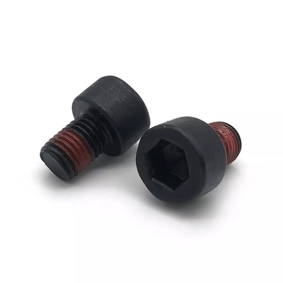 Metrische zwarte zink-vlokken gecoate A2 A4 Allen Bolt DIN912 Socket Cap Screw Bolt M2 M2.5 M3 M4 M5 M6 M8 M10 M12 M14 M16 M20
