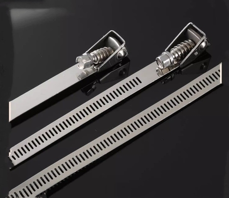 Zelfvergrendelende roestvrijstalen kabelbindingen voor zware toepassingen 4.6*300mm SS304/316 Fscat