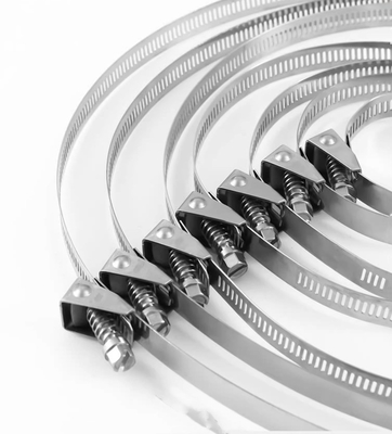 Zelfvergrendelende roestvrijstalen kabelbindingen voor zware toepassingen 4.6*300mm SS304/316 Fscat