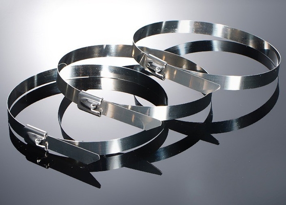 Instock PVC bedekt SS304/316/201 Heavy Duty Clamp Zelf roestvrij staal kabelband met plastic gespoten bal metaal 100PCS