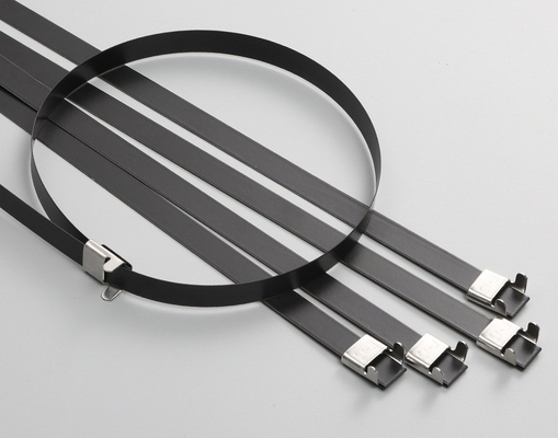 ISO-standaard 100 stuks roestvrijstalen kabelbanden 12 mm voor industriële toepassingen