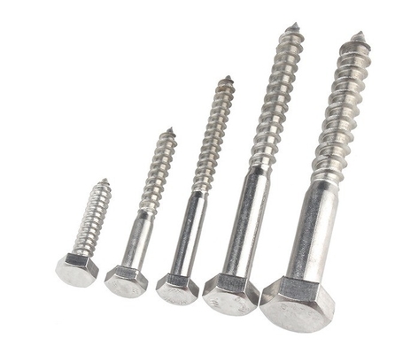 Metrisch meetsysteem A2 A4 Hex Lag Schroef roestvrij staal 304 316 Din 571 Hout Lag Schroef