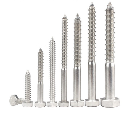 Metrisch meetsysteem A2 A4 Hex Lag Schroef roestvrij staal 304 316 Din 571 Hout Lag Schroef
