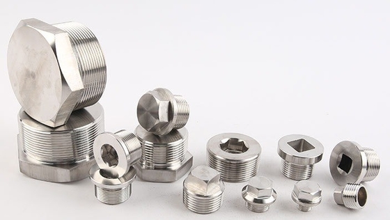 Laryngeale stekker 304 roestvrij staal Buiten Hexagon Flange Face Plug voor het aansluiten van olie- en waterleidingen