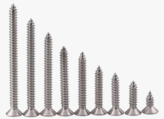 ANSI/ASME Standard SS304 SS316 Roestvrij staal self-tapping dek schroef DIN7982 voor constructie corrosiebestendig