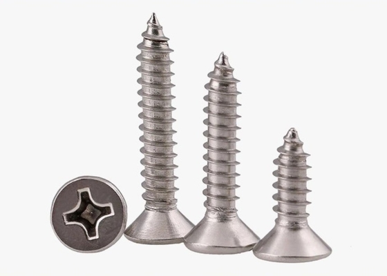 ANSI/ASME Standard SS304 SS316 Roestvrij staal self-tapping dek schroef DIN7982 voor constructie corrosiebestendig
