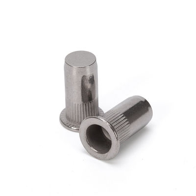 Voedingsmiddelen en dranken DIN gecertificeerd 304 roestvrij staal Platte streep Blind Hole River Nuts Plated M3 T Nuts Hex Square Nut Design ZINK PLATED