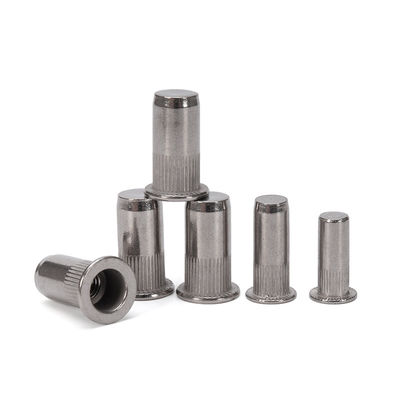 Voedingsmiddelen en dranken DIN gecertificeerd 304 roestvrij staal Platte streep Blind Hole River Nuts Plated M3 T Nuts Hex Square Nut Design ZINK PLATED