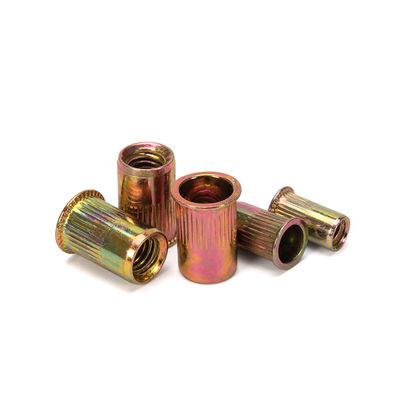Waterbehandeling Persoonlijke Hardware Rivet Nut Holle Zink-geplatteerde verf slotmoeren Inbreng blinde moeren DIN-standaard met 304 roestvrij staal