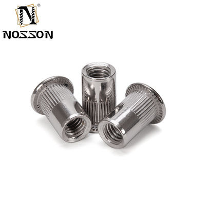 Algemene industrie Blauw en wit Zinkgeplatte M8 M10 1.25 Gedrukt Pres Rivet Nut met waterdicht koolstofstaal