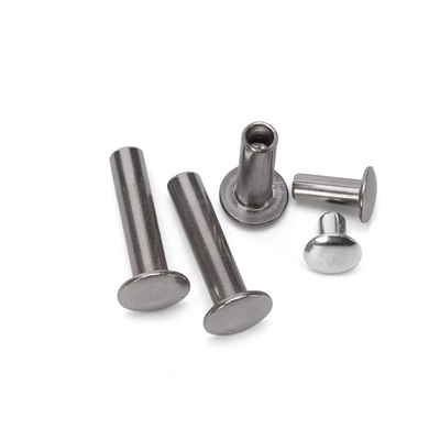 ANSI/ASME-standaard helder roestvrij staal aluminium versierd plat hoofd half hol halfbuig rivet M2.5 voor lederen zak