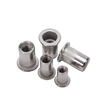 Metrische 304 roestvrij staal platte kop Carborsteel galvanisatie M5 M6 M8 Rivet Nut voor waterbehandeling Toepassing van bevestigingsmiddelen