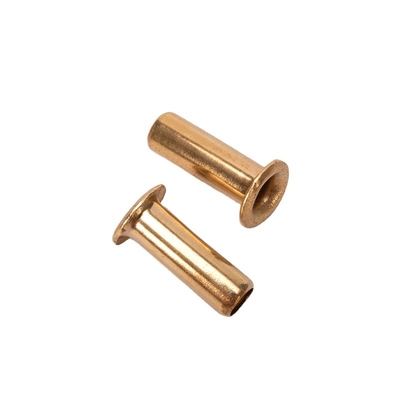 ANSI/ASME-standaard 1,5 mm 2,5 mm 3 mm 4 mm koper messing of staal holle buisvormige pcb-niet met corrosiebestendig afwerking