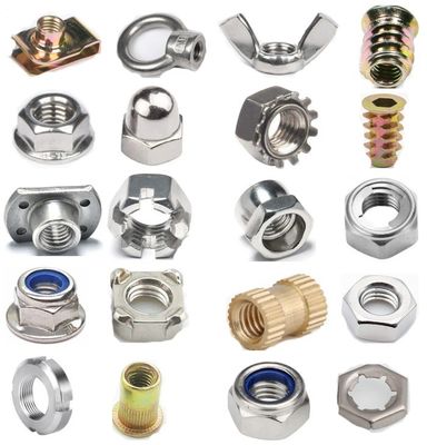 M6 M8 M10 M12 Onroestbare scheermoeren met DIN Standard Healthcare Carbon Steel Koniek SS304 SS316 Afwerking gegalvaniseerd