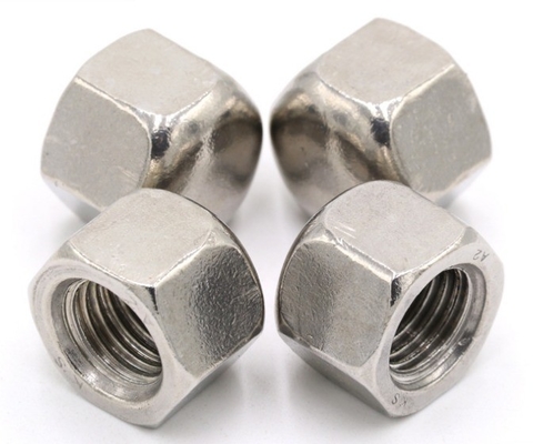 Metrisch meetsysteem A2-70 roestvrij staal SS304 Hex Cap Nut voor waterbehandeling met duurzaam legerd staal