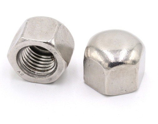 Metrisch meetsysteem A2-70 roestvrij staal SS304 Hex Cap Nut voor waterbehandeling met duurzaam legerd staal