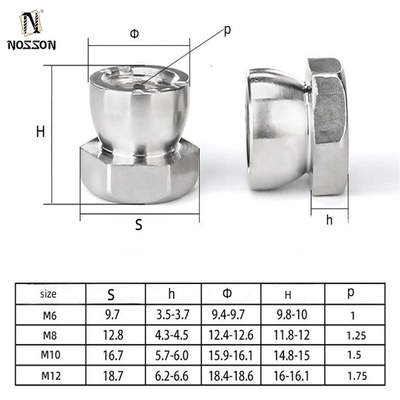 ISO-standaard M6 M8 M10 Stalen beveiligingsschermnoot Roestvrij staal 304 316 Break Away Nut Anti-Theft Nut Finish Zincgeplatte