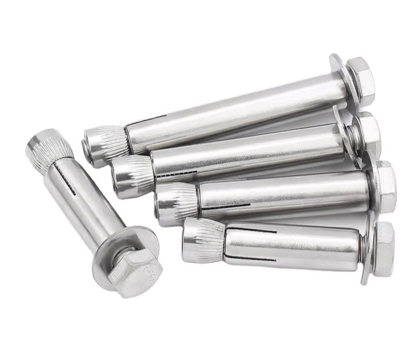 ISO-standaard hoge sterkte M8 M20 M36 roestvrij staal SS304 SS316 wedge anchor met monster