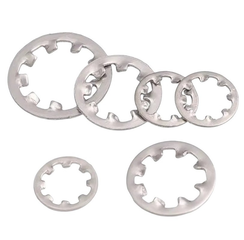 Intern gebitten slotwasseren van roestvrij staal voor veiligheid