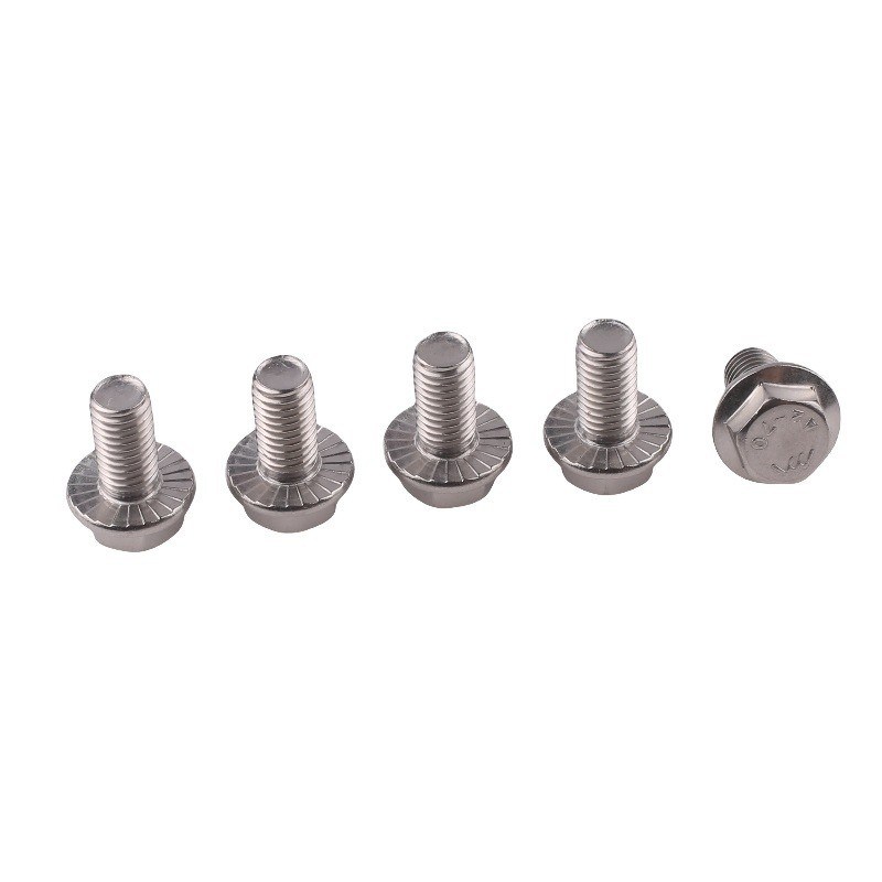 Standaard DIN Industrial Serrated Titanium Hexagon Flange Bolt m6 m10 m12 voor draagbolten