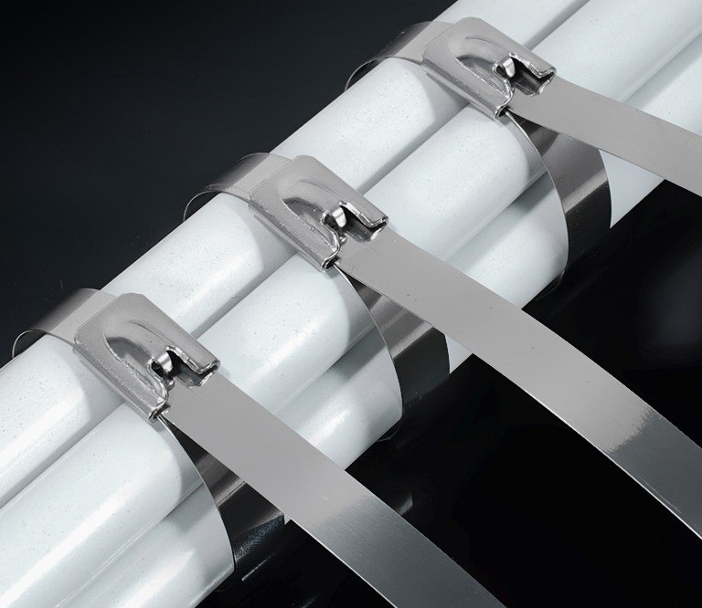 GB-standaard zelfvergrendelend SS304/316 roestvrijstalen kabelbanden 4,6*300 mm binnen ISO voor Fscat grondstof