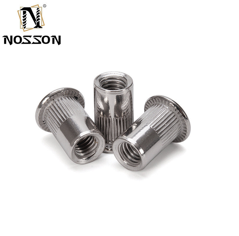 Algemene industrie Blauw en wit Zinkgeplatte M8 M10 1.25 Gedrukt Pres Rivet Nut met waterdicht koolstofstaal