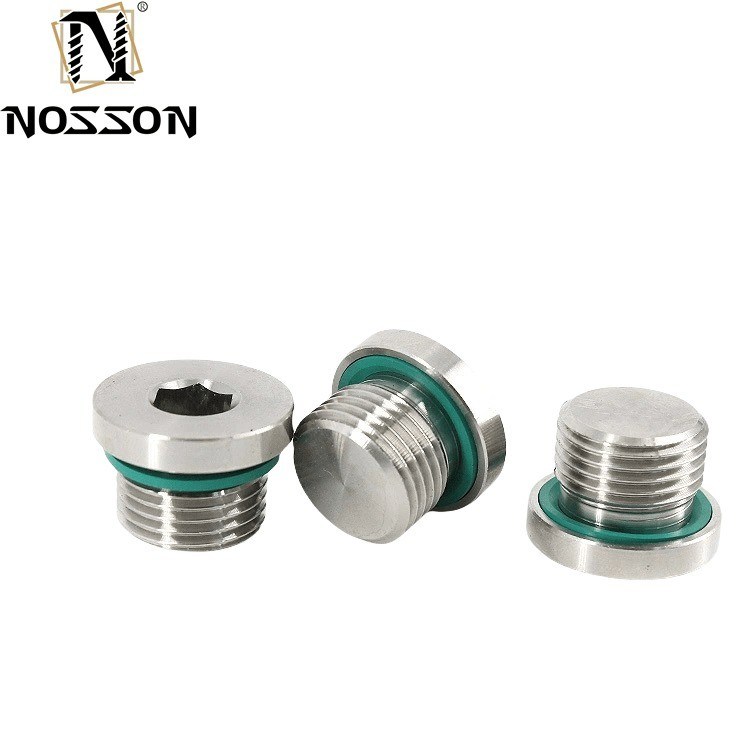 10mm Titanium Pipe Plug Roestvrij staal Inox gepolijst Hex Socket Schroeven Din908 Uw go-to product voor gemakkelijke installaties