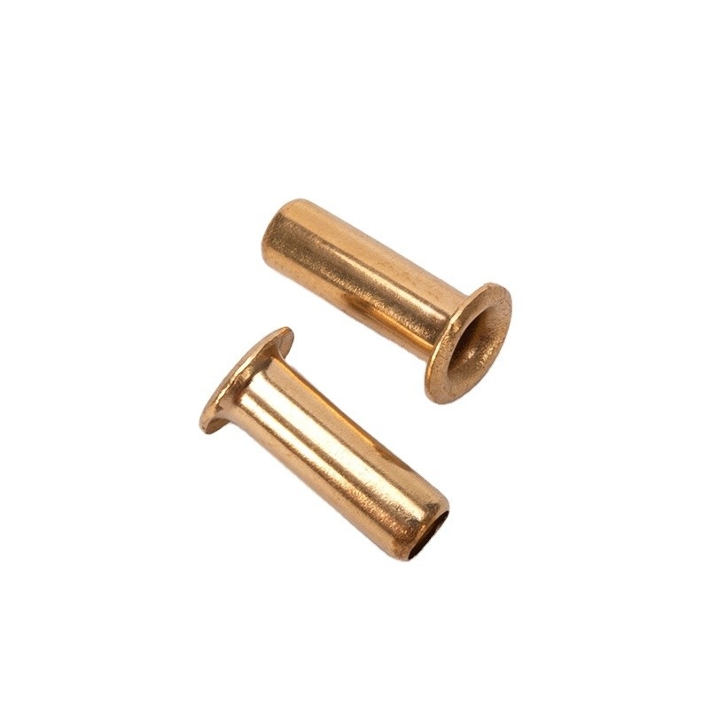 ANSI/ASME-standaard 1,5 mm 2,5 mm 3 mm 4 mm koper messing of staal holle buisvormige pcb-niet met corrosiebestendig afwerking