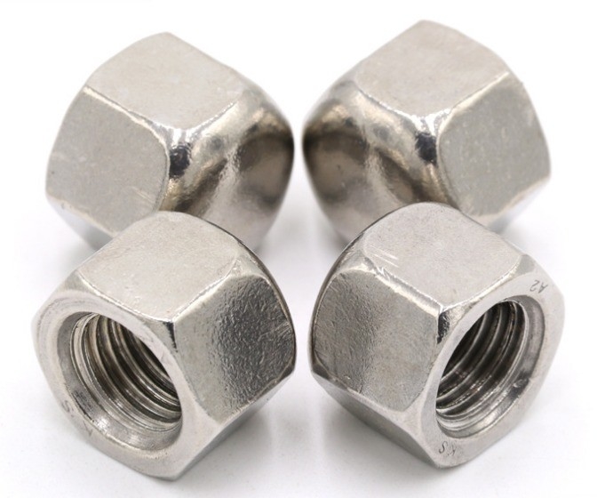 Metrisch meetsysteem A2-70 roestvrij staal SS304 Hex Cap Nut voor waterbehandeling met duurzaam legerd staal